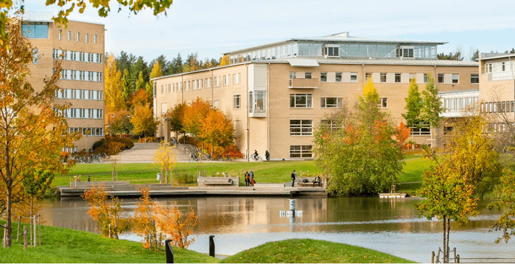 Nästan 72 miljoner kronor från Vetenskapsrådet till Umeå universitet