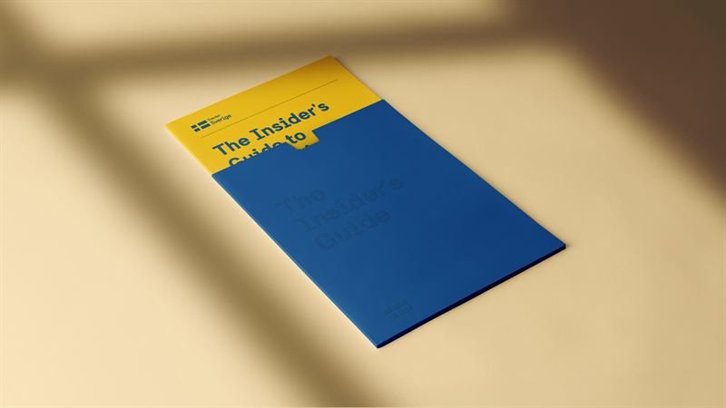 Lönegolv och inflöde av arbetskraft - men vad gör vi åt att tusentals högutbildade lämnar Sverige?